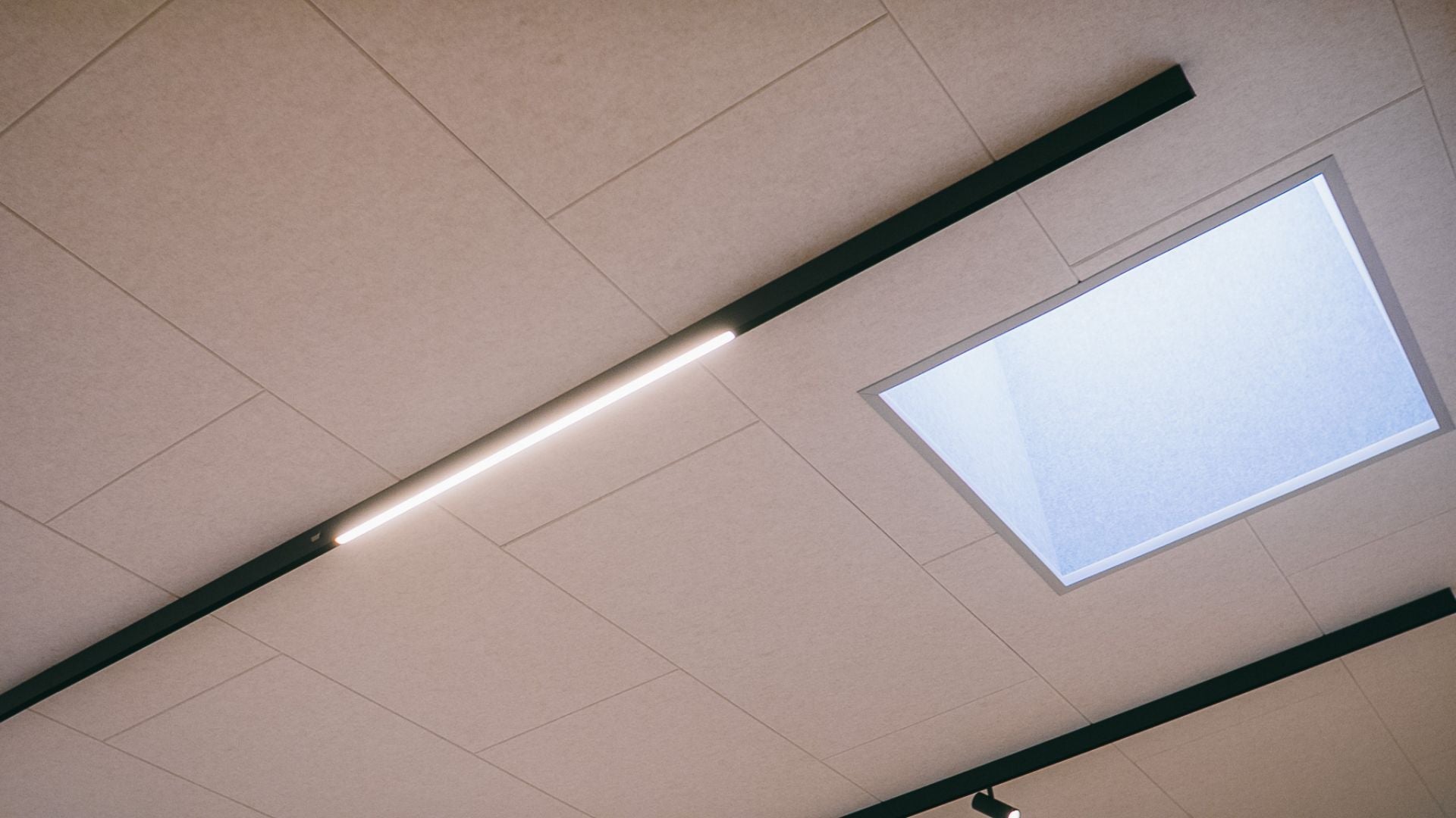 Akustikpaneler monteret direkte på eksisterende loft med integreret belysning og ovenlys set nedefra